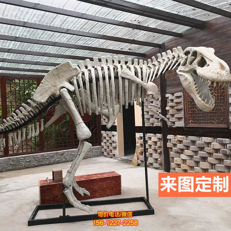 大型全新仿真恐龙骨架骨骼化石玻璃钢景区博物馆恐龙雕塑 大型全新仿真恐龙骨架骨骼化石玻璃钢景区博物馆恐龙雕塑