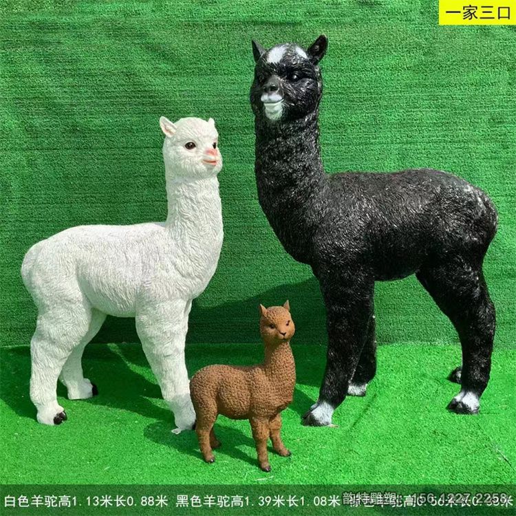 微信图片_202311100930331 微信图片_202311100930331