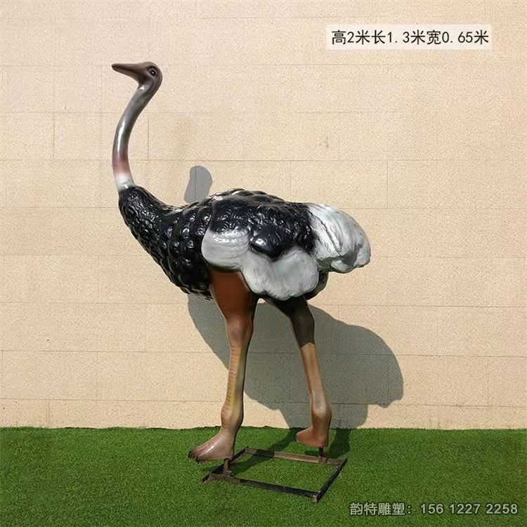 鸵鸟3 鸵鸟3