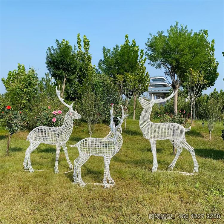 微信图片_202506090959062